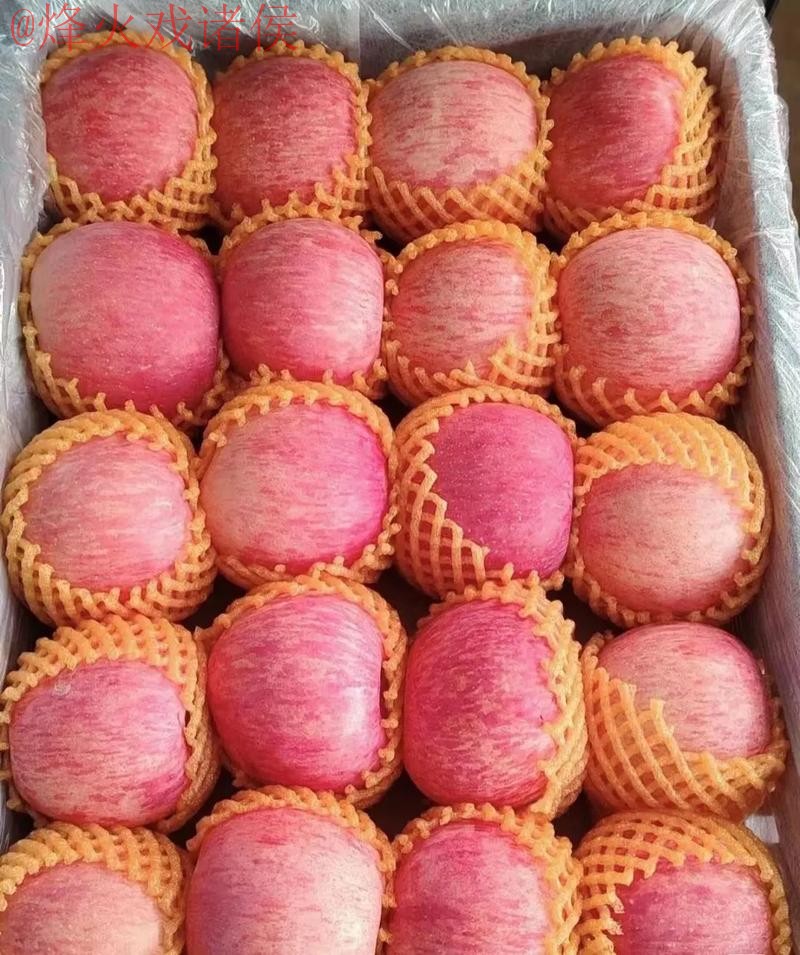 世界杯外围苹果